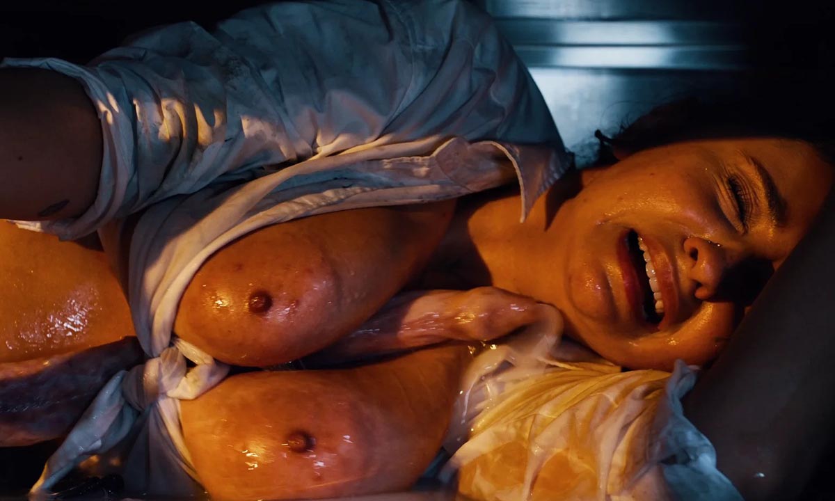 Hailey Rose – Trapped Inside (Hentaied)